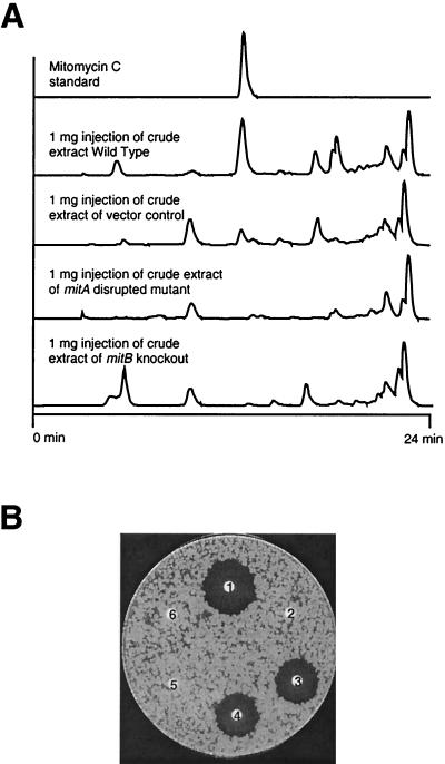 FIG. 7