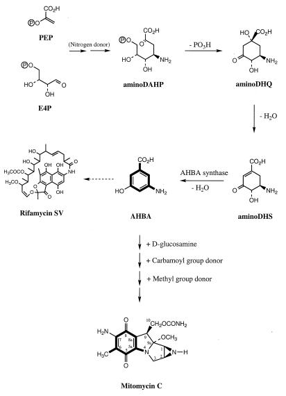 FIG. 1