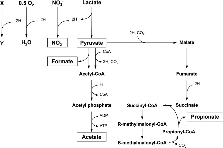 FIG 5