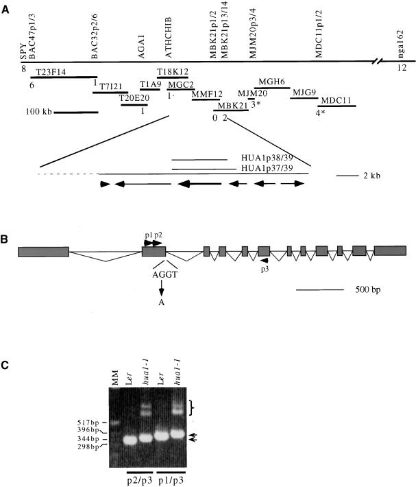 Figure 1.