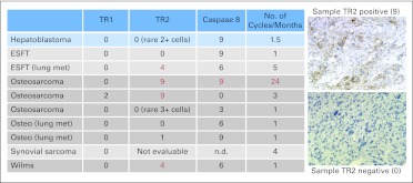 Fig 1.