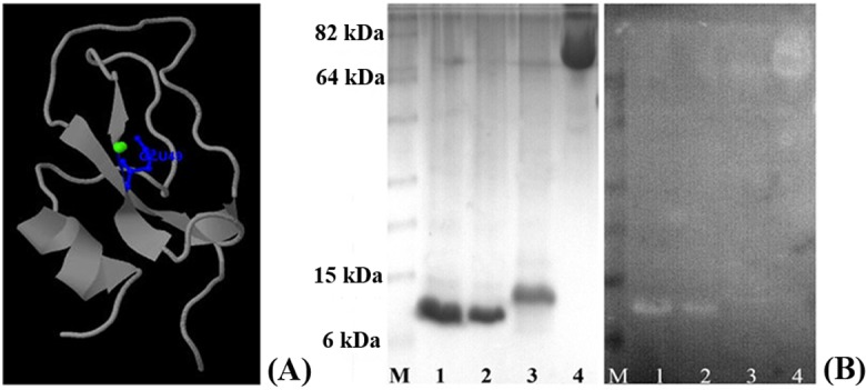 Fig 6