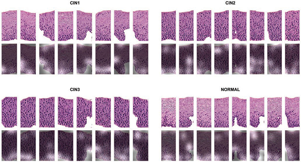 Fig. 9.