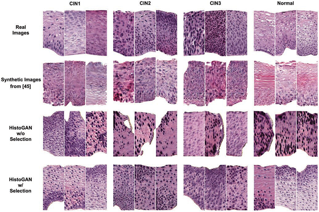 Fig. 6.