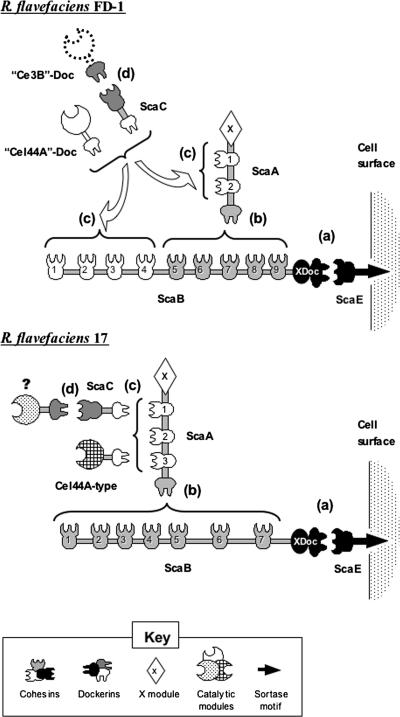 FIG. 3.