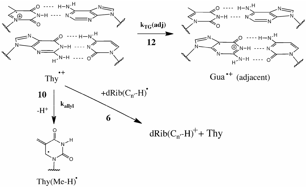 Scheme 3