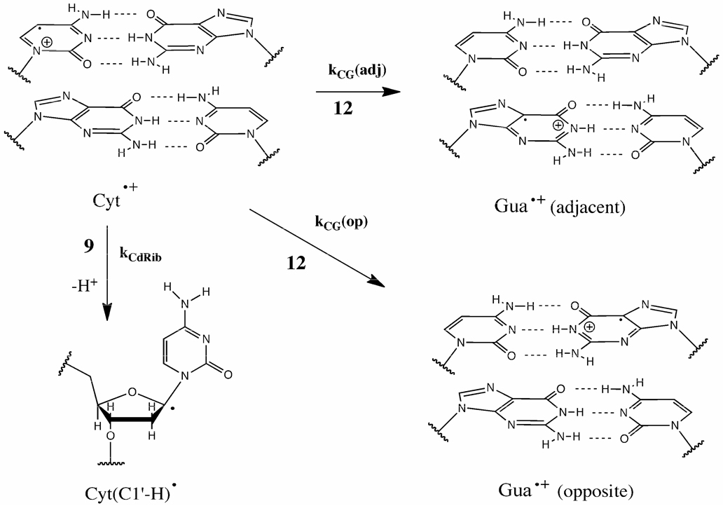 Scheme 2