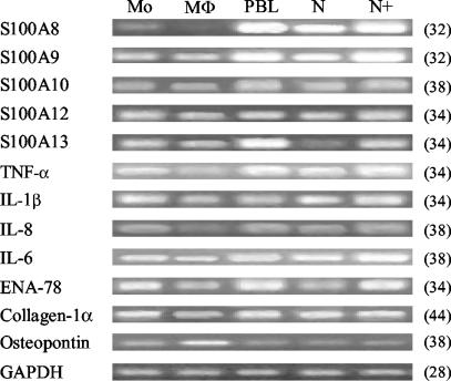 FIG. 6.