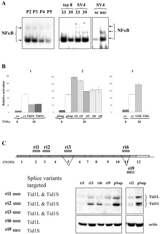 FIG. 5.