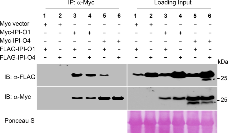 Figure 5