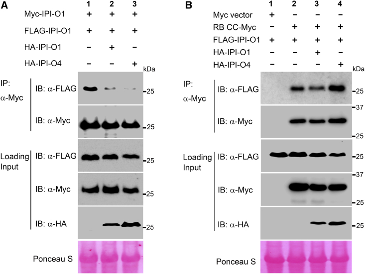 Figure 6