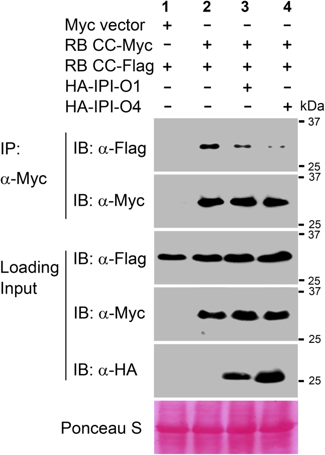 Figure 4