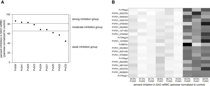 Figure 2