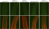 Figure 6.