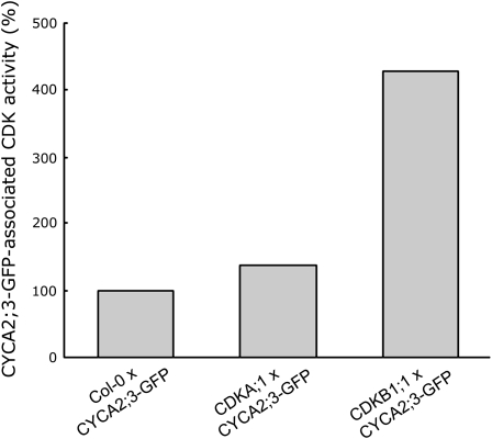 Figure 5.