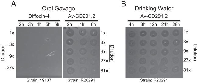 FIG 2 