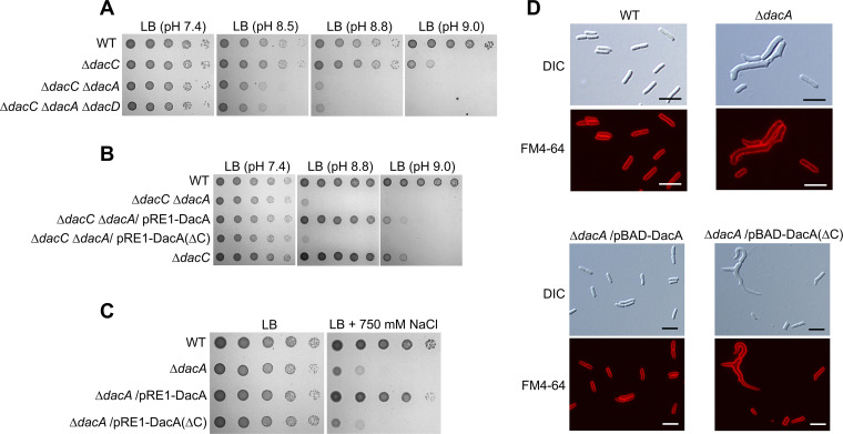 FIG 3