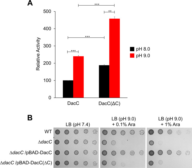 FIG 6