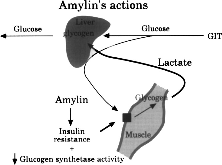 Fig 4.