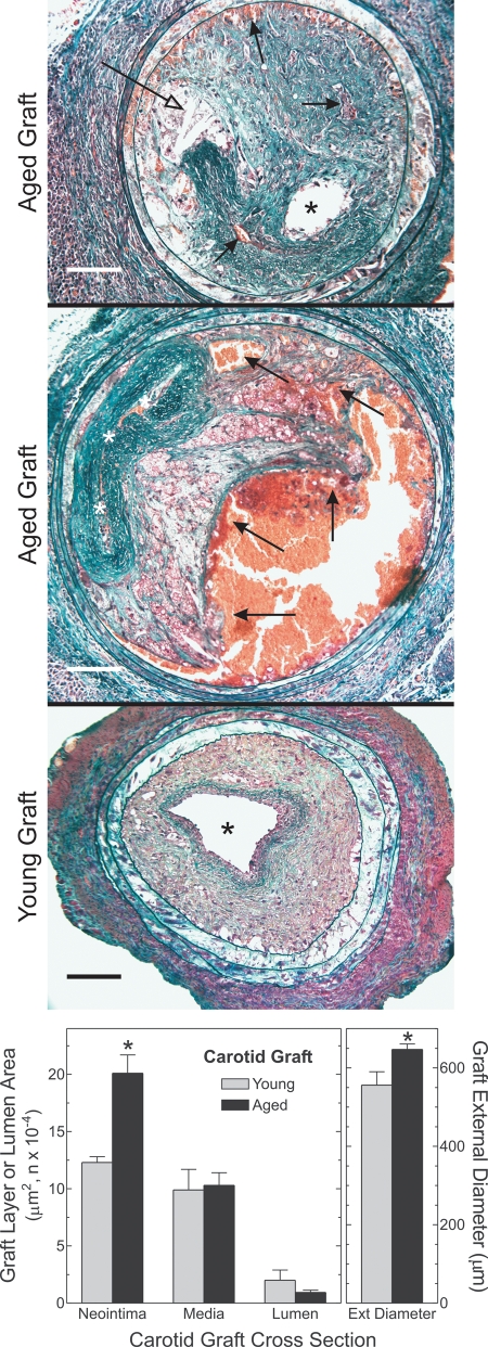 Figure 4.