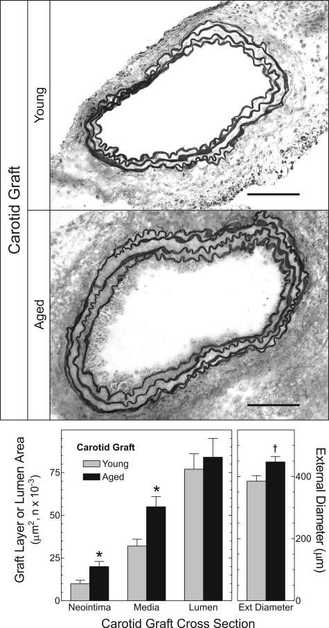 Figure 2.