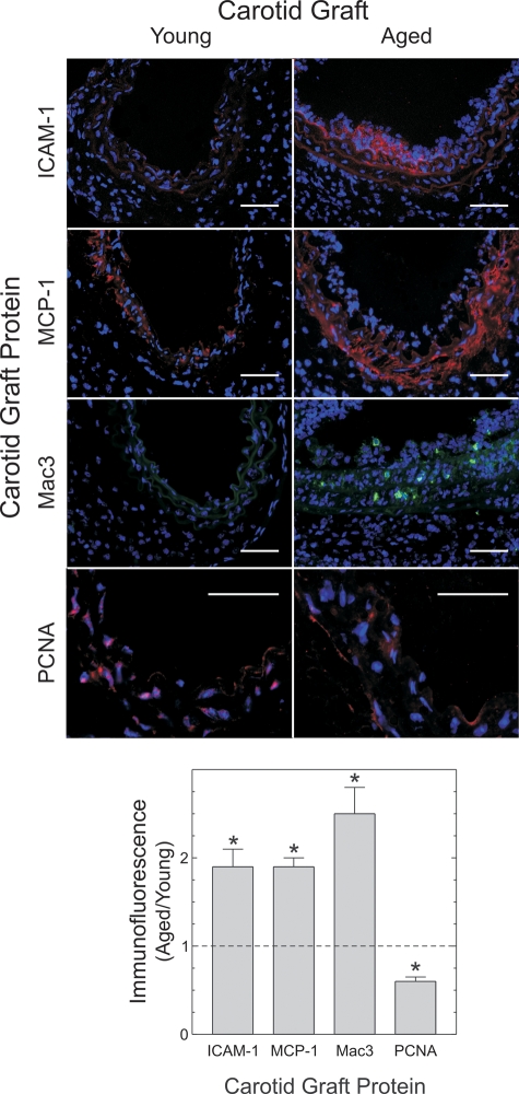 Figure 3.