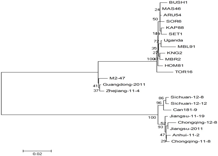 Figure 3