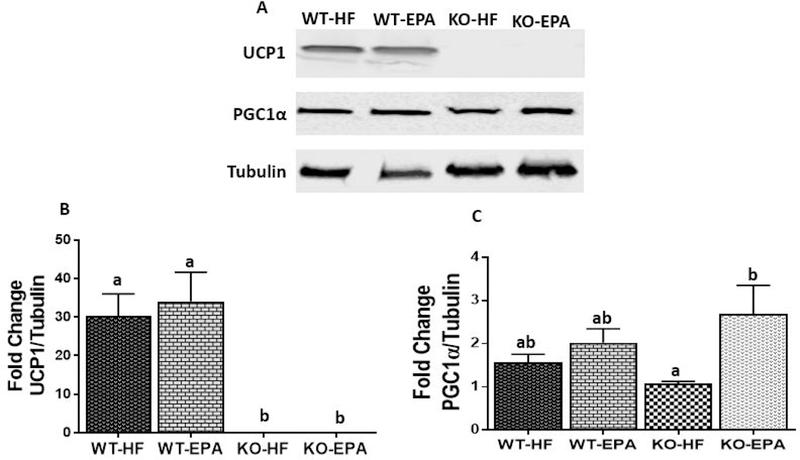 Figure. 7.