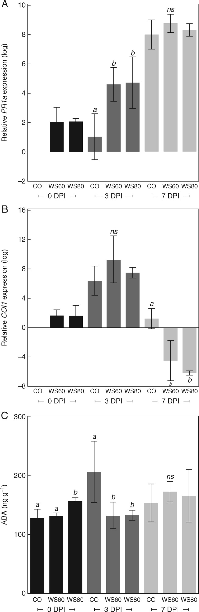 Fig. 6.