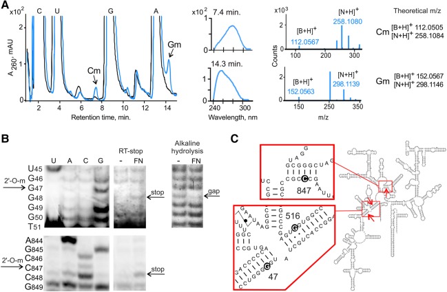 FIGURE 2.