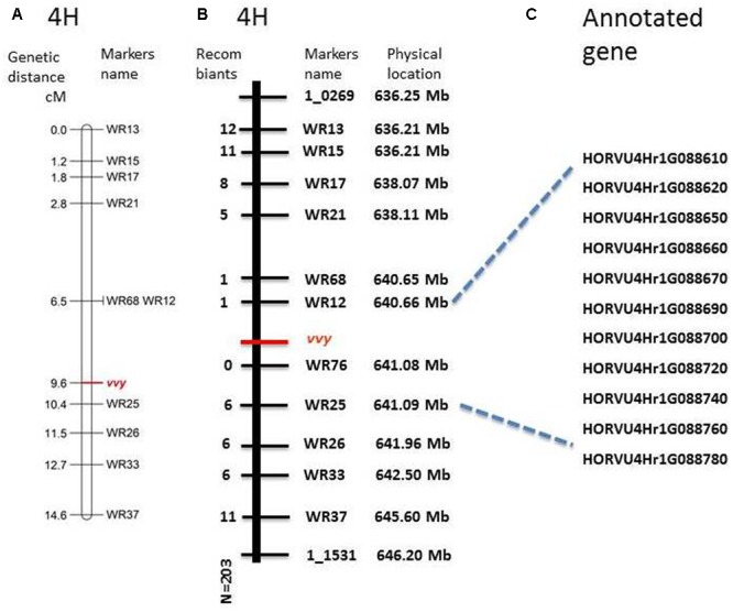 FIGURE 4