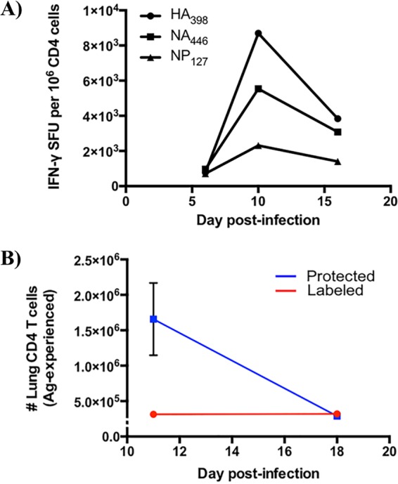 FIG 1