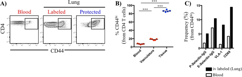 FIG 6