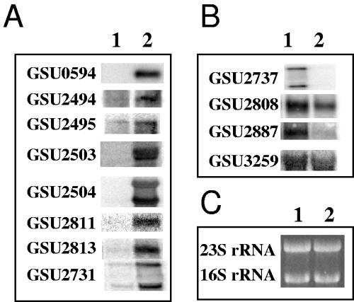 FIG. 5.