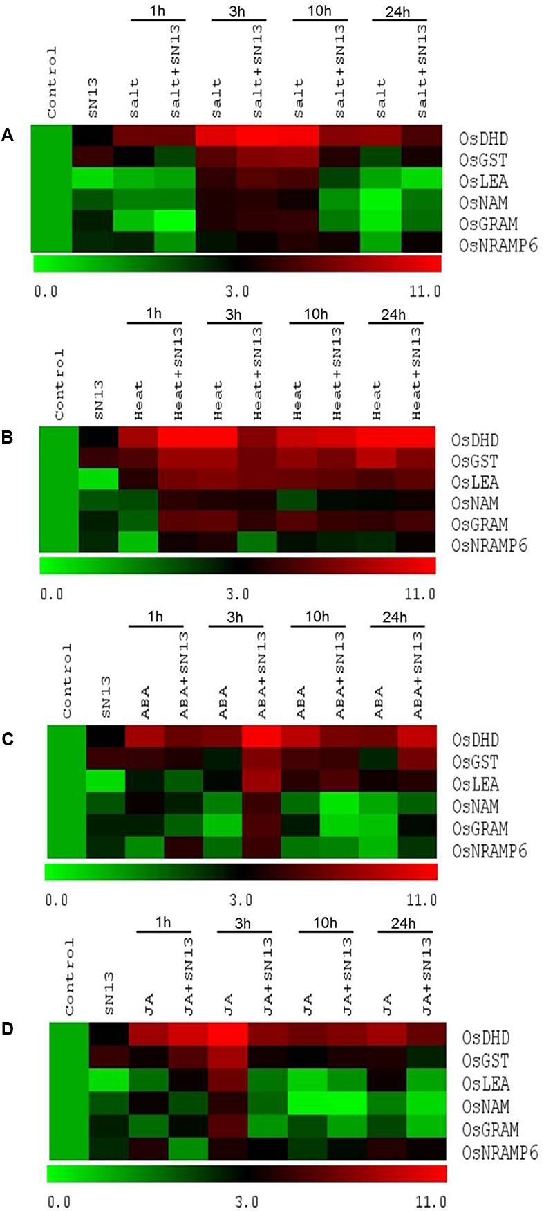 FIGURE 4