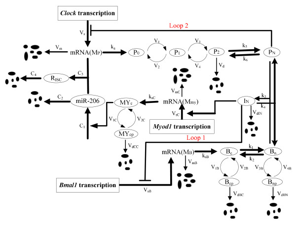 Figure 10