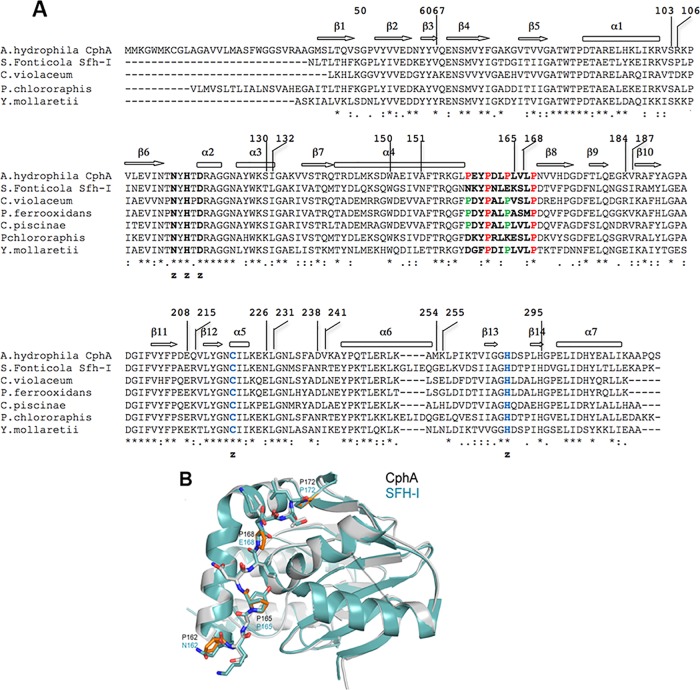 FIG 2