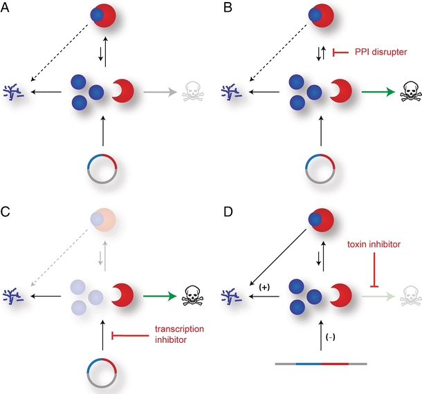 Fig. 4