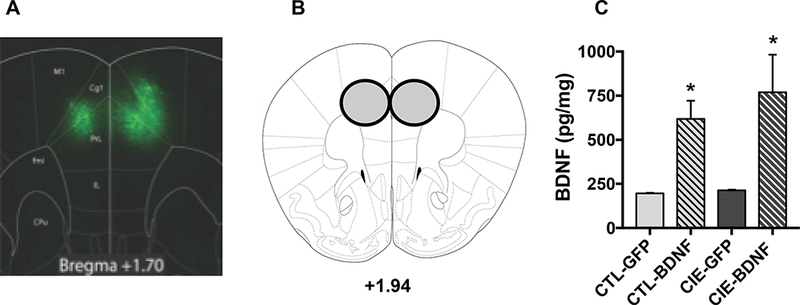 Figure 5: