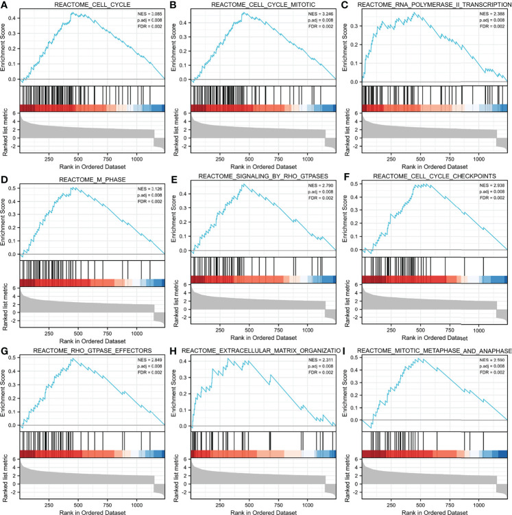 Figure 6