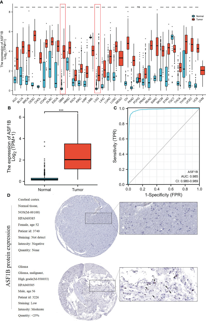 Figure 2