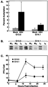 FIG. 7