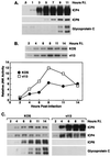 FIG. 6