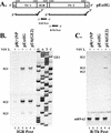 FIG. 2.