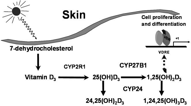 Figure 2.