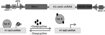 FIG. 1.