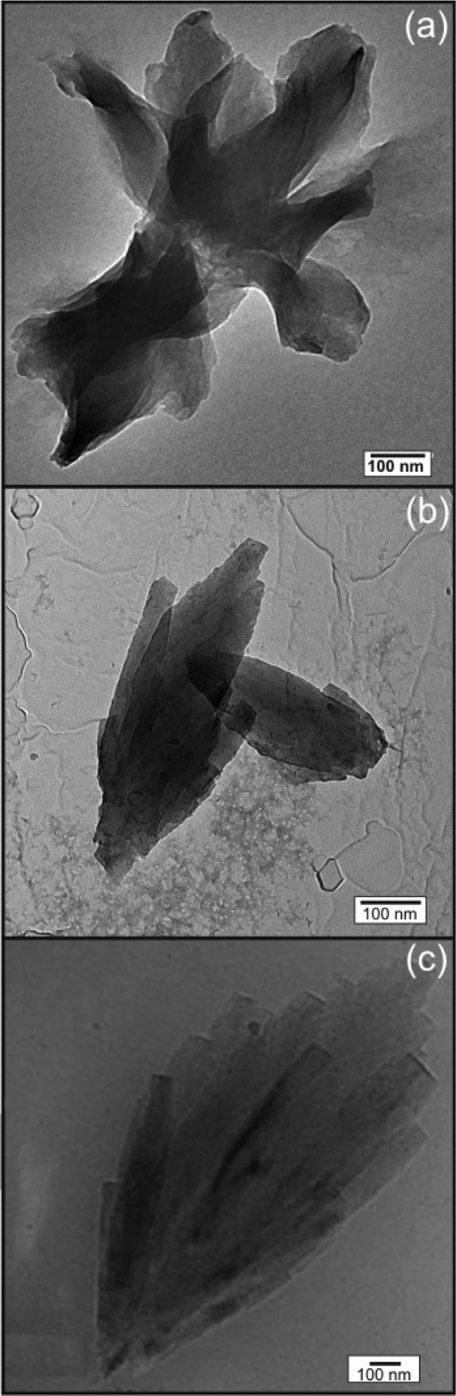 Figure 7