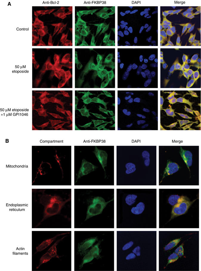 Figure 6ab