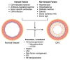 Risk factors and treatment of cardiac allograft vasculopathy