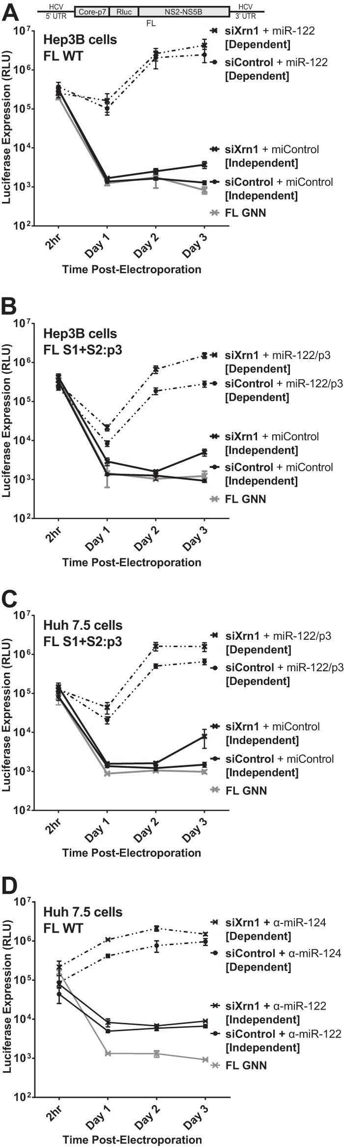 FIG 3